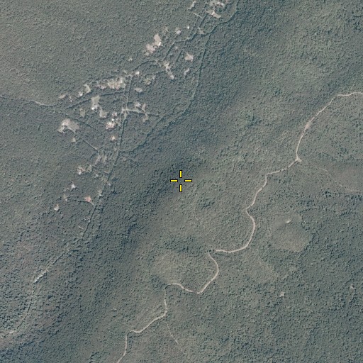 Aerial/Satellite Image of Narrow Back Mountain, VA