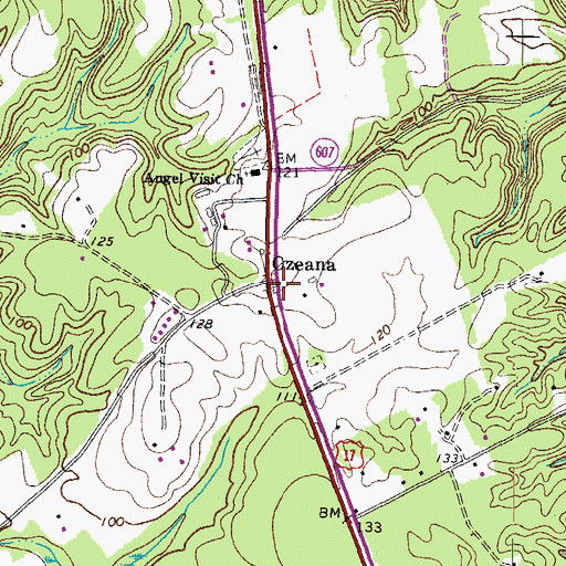 Topographic Map of Ozeana, VA