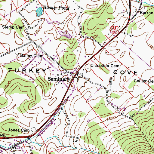 Topographic Map of Seminary, VA