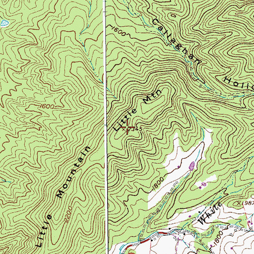Topographic Map of Little Mountain, VA