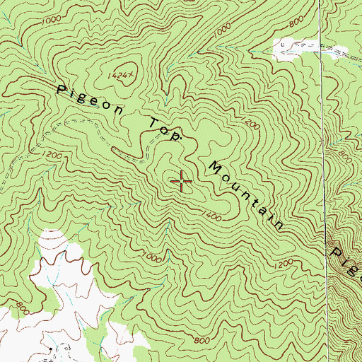 Topographic Map of Pigeon Top Mountain, VA