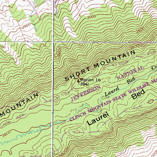 Topographic Map of Short Mountain, VA