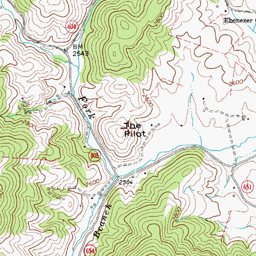 Topographic Map of The Pilot, VA