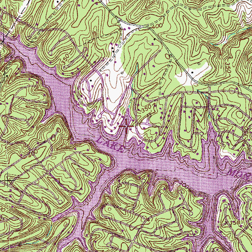 Topographic Map of Harrison Cove, VA