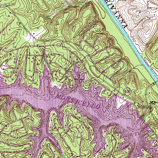 Topographic Map of Taylor Cove, VA