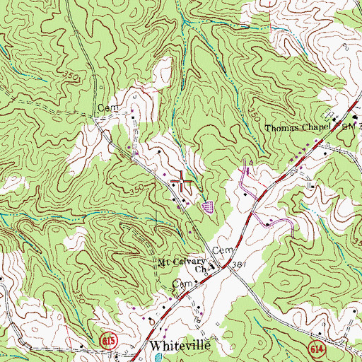 Topographic Map of Turkey Cock School (historical), VA