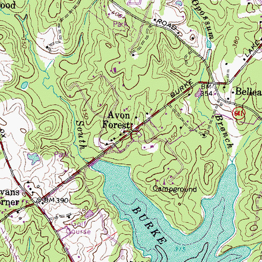 Topographic Map of Avon Forest, VA