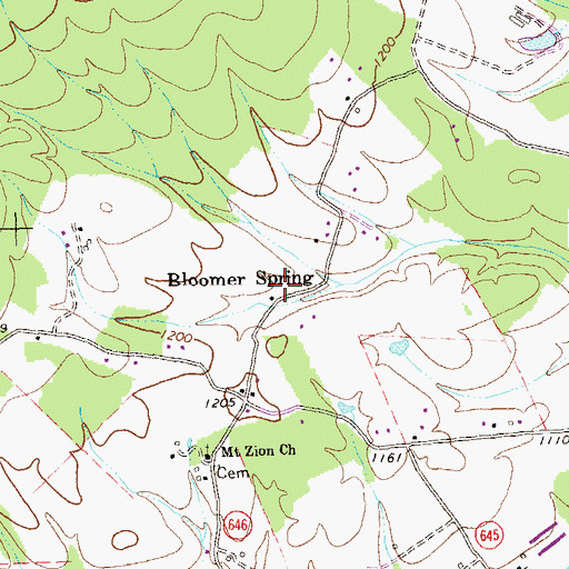 Topographic Map of Bloomer Spring, VA
