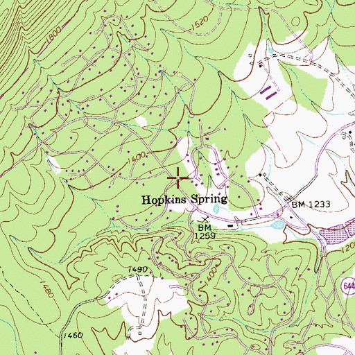 Topographic Map of Hopkins Spring, VA