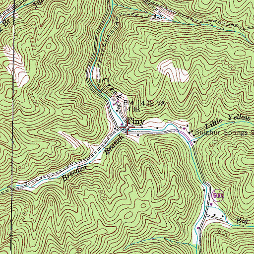 Topographic Map of Tiny, VA