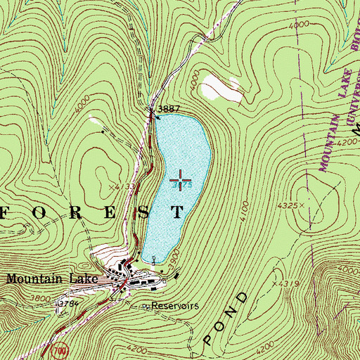 Topographic Map of Mountain Lake, VA