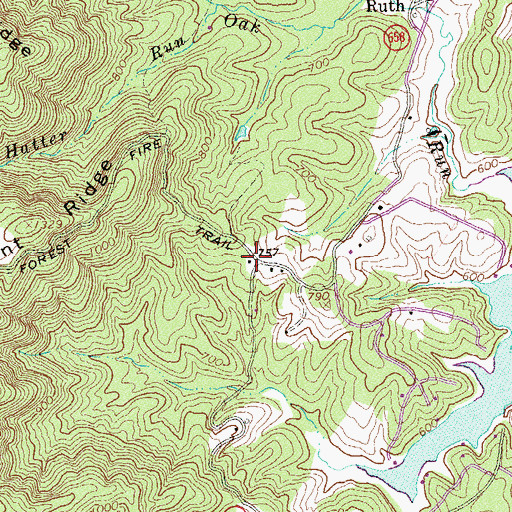 Topographic Map of Ruth School (historical), VA