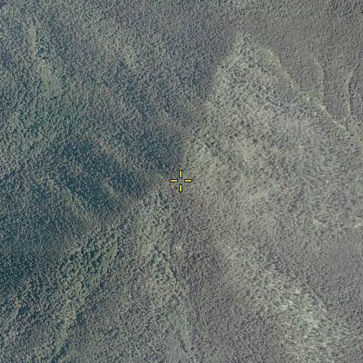 Aerial/Satellite Image of Bluff Mountain, VA