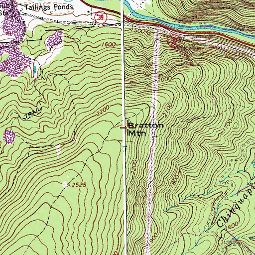 Topographic Map of Bratton Mountain, VA