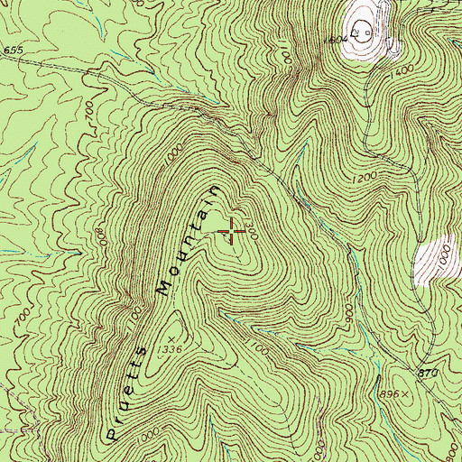 Topographic Map of Pruetts Mountain, VA