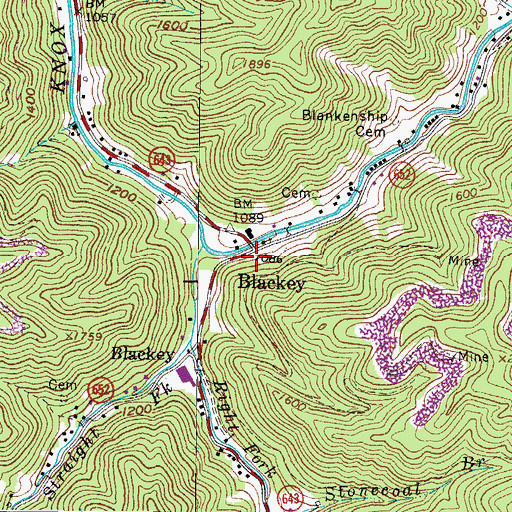 Topographic Map of Blackey, VA