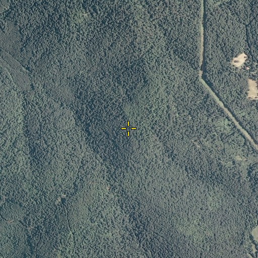 Aerial/Satellite Image of Broadhead Mountain, VA