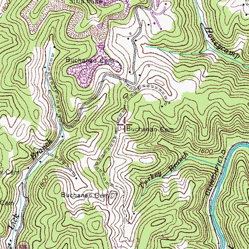 Topographic Map of Buchanan Cemetery, VA