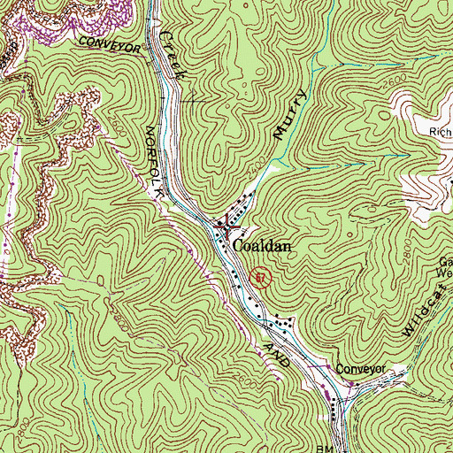 Topographic Map of Coaldan, VA