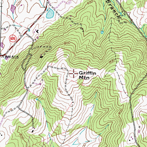 Topographic Map of Griffin Mountain, VA