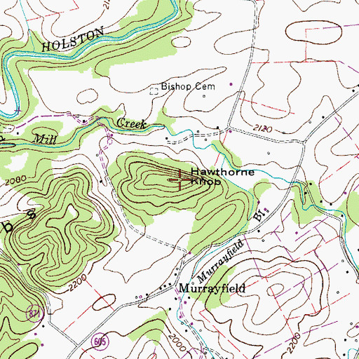 Topographic Map of Hawthorne Knob, VA