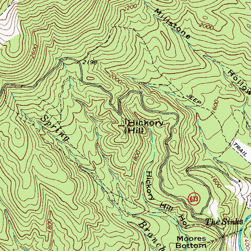 Topographic Map of Hickory Hill, VA