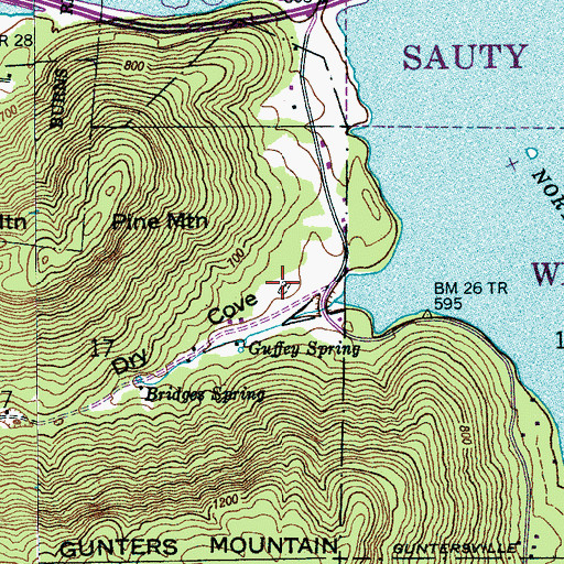 Topographic Map of Guffy Cemetery, AL