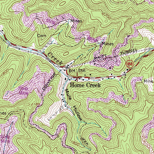 Topographic Map of Home Creek, VA