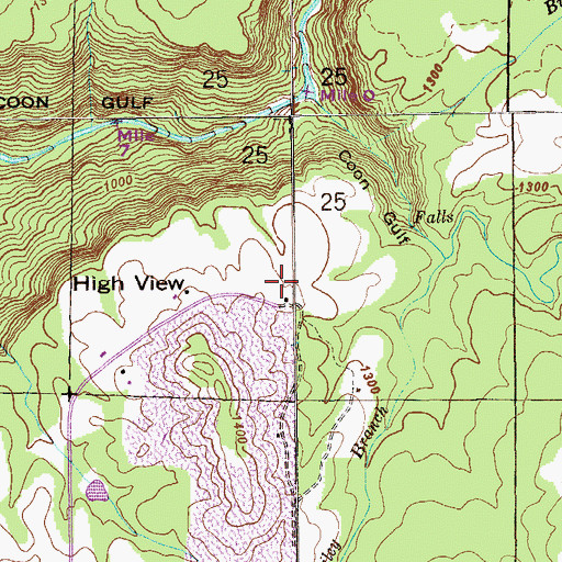 Topographic Map of Nelson Cemetery, AL