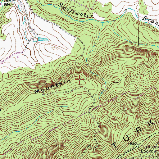 Topographic Map of Little Mountain, VA