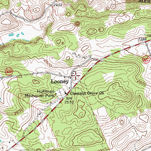 Topographic Map of Looney, VA