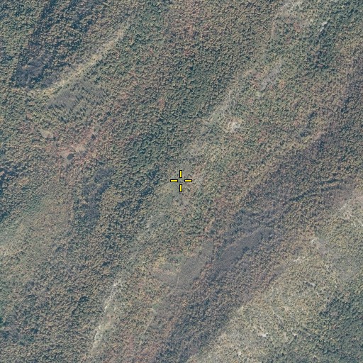 Aerial/Satellite Image of Middle Mountain, VA