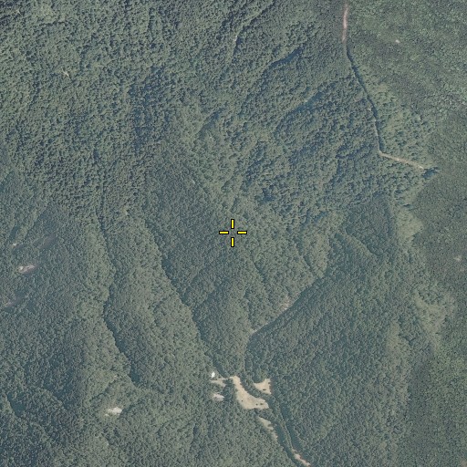 Aerial/Satellite Image of Mills Mountain, VA