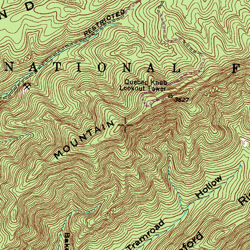 Topographic Map of Rich Mountain, VA