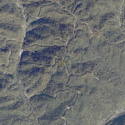 Aerial/Satellite Image of Rowe Mountain, VA