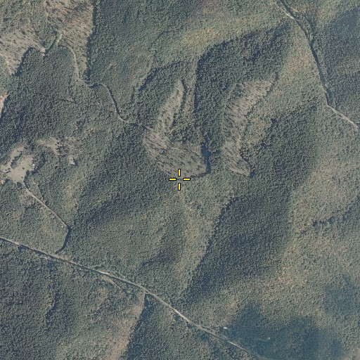 Aerial/Satellite Image of Smith Mountain, VA