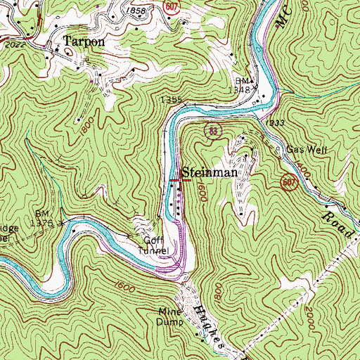 Topographic Map of Steinman, VA
