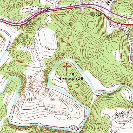 Topographic Map of The Horseshoe, VA