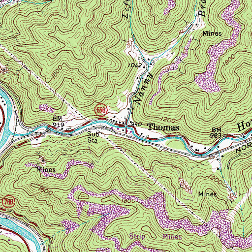 Topographic Map of Thomas, VA