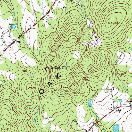 Topographic Map of White Oak Mountain, VA