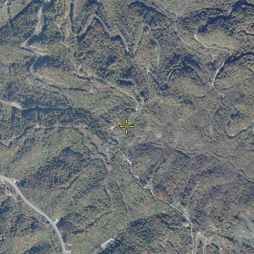 Aerial/Satellite Image of Wolfpen Knob, VA