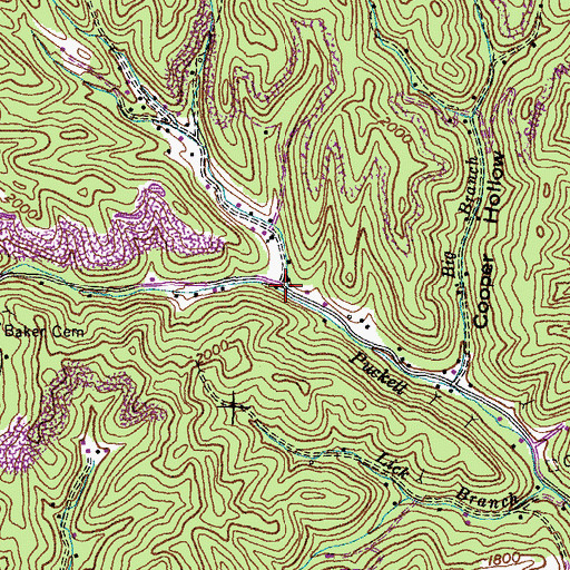 Topographic Map of Bubby Branch, VA