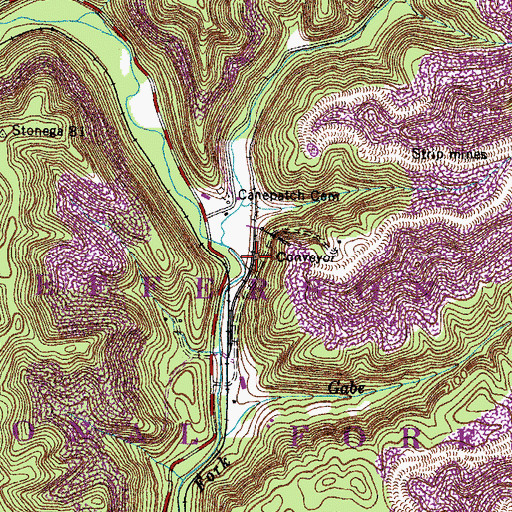 Topographic Map of Canepatch (historical), VA