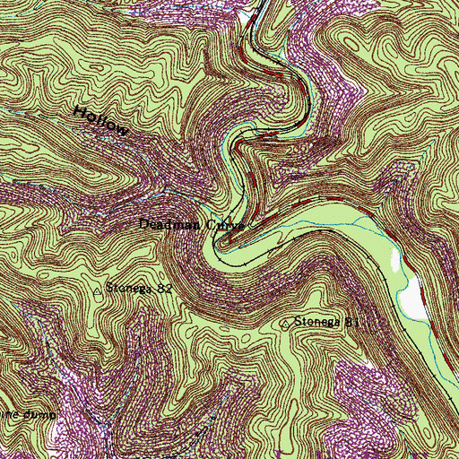Topographic Map of McKinney Branch, VA