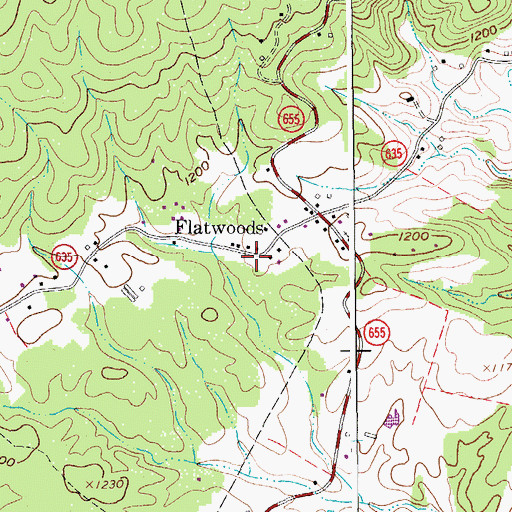 Topographic Map of Flatwoods, VA
