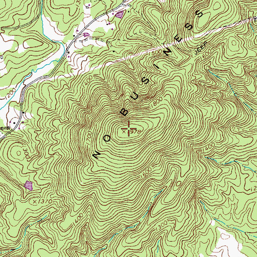 Topographic Map of No Business Mountain, VA