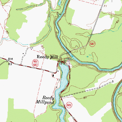 Topographic Map of Reedy Mill, VA