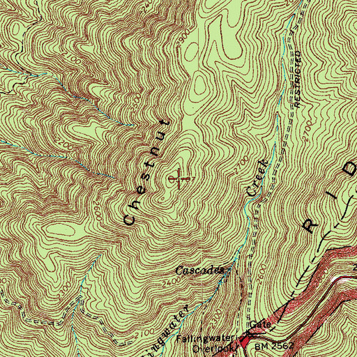 Topographic Map of Chestnut Mountain, VA