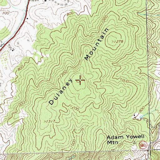 Topographic Map of Dulaney Mountain, VA
