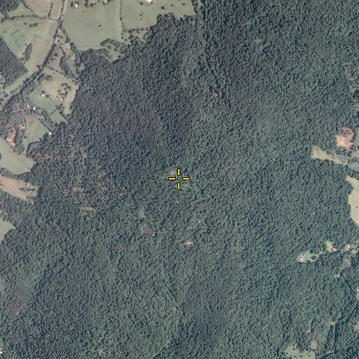 Aerial/Satellite Image of Dulaney Mountain, VA